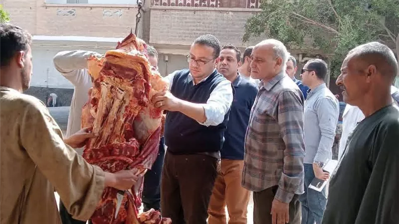 ضبط 277 كيلو لحوم ومنتجات غذائية خلال حملات رقابية مكثفة بالمنيا