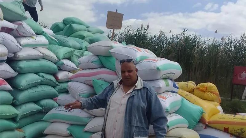 توريد 3353 طن قمح لمواقع التخزين والصوامع في الدقهلية 