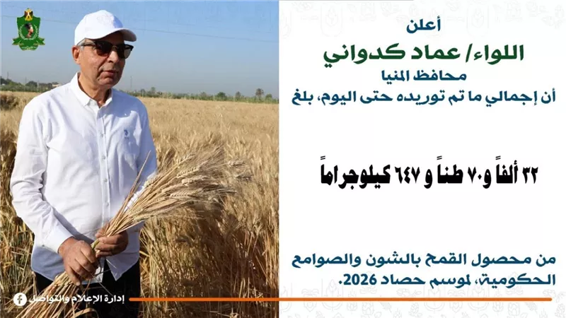 استمرار توريد القمح 2026.. شون وصوامع المنيا تستقبل 32 ألف طن