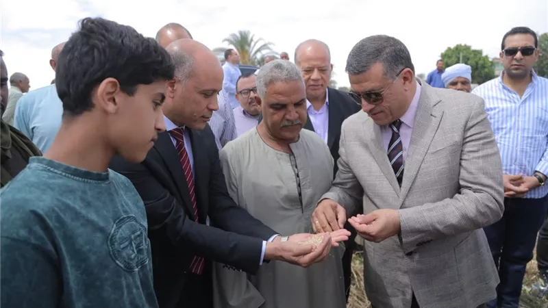 من إحدى المزارع الحقلية.. محافظ قنا يطلق إشارة بدء موسم حصاد القمح 