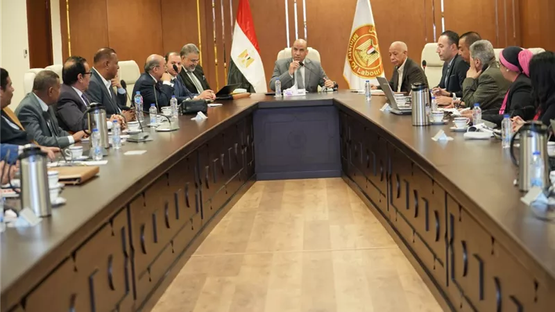 وزير العمل يناقش قانون العمالة المنزلية وتوحيد سن التقاعد 