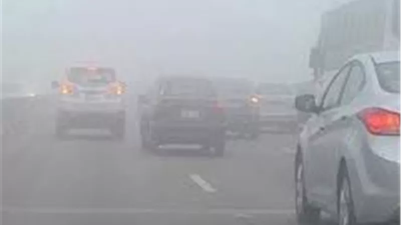 الأرصاد: طقس الأربعاء مائل للحرارة نهارًا وشبورة كثيفة صباحًا ورياح نشطة على بعض المناطق