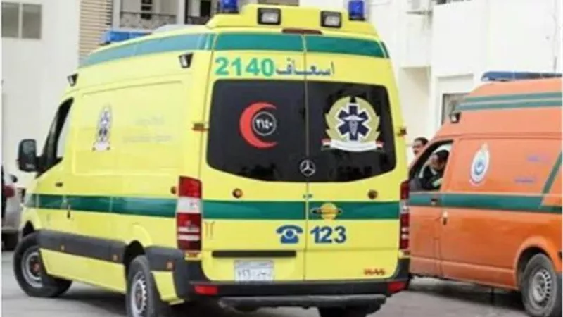 مصرع سائق بعد حادث مروع بالصحراوي الشرقي في المنيا