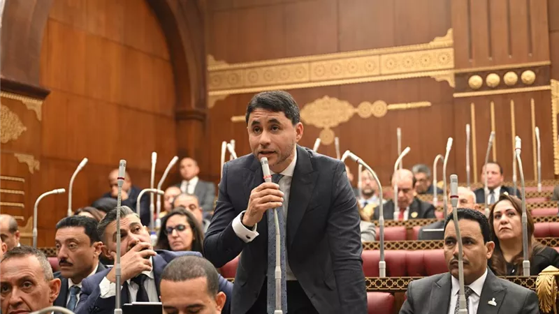 عضو بالشيوخ يطالب بإنشاء منصات التعليم التكنولوجي لتأهيل الشباب لوظائف المستقبل