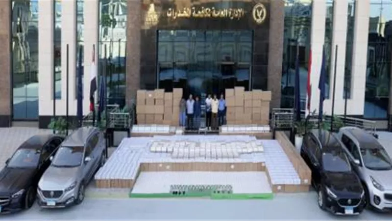 ضبط تشكيل عصابي بحوزته 10 ملايين قرص مخدر بـ158 مليون جنيه بالقاهرة والجيزة