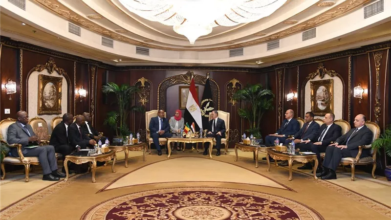 وزير الداخلية يستقبل نظيره المالي لبحث تعزيز التعاون الأمني المشترك