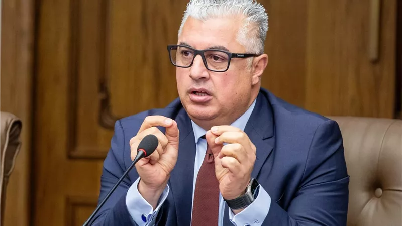 وليد جمال الدين: مشروع 