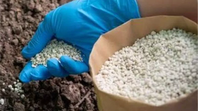 الحكومة تبحث تعظيم الاستفادة من شركات الأسمدة لدعم الصناعة وزيادة التصدير