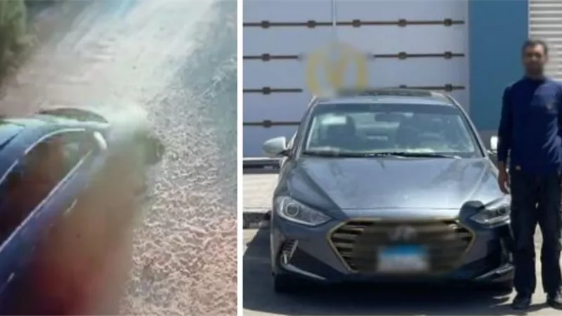 ضبط مالك مزرعة لاتهامه بدهس كلب ضال والتسبب في نفوقه بالإسماعيلية