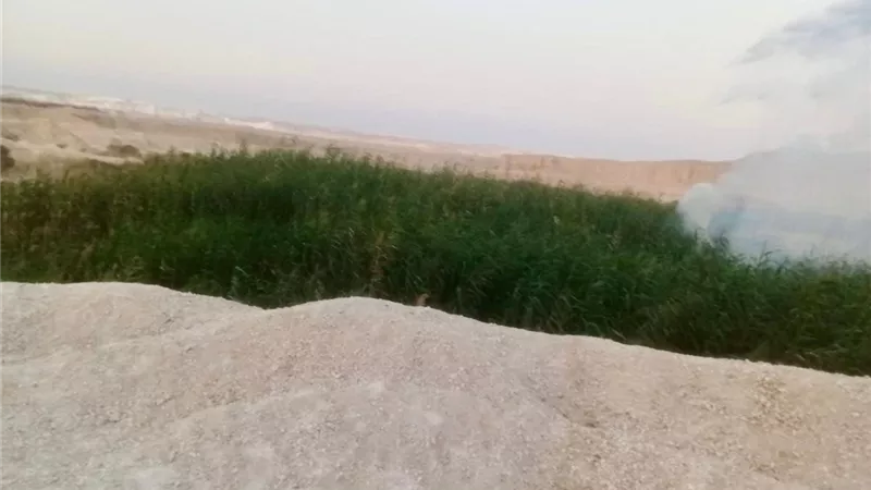 اندلاع حريق هائل بمنطقة مخلفات الصرف الصحي في سمالوط