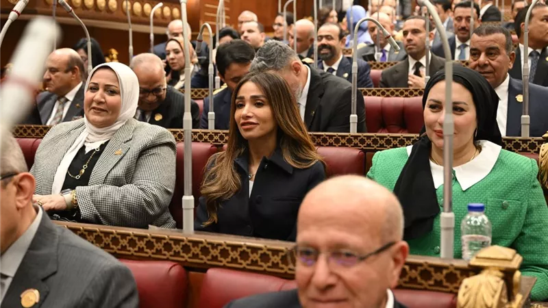 خارجية الشيوخ: توجيهات الرئيس السيسي تعزز دور المصريين بالخارج كشريك أساسي في التنمية