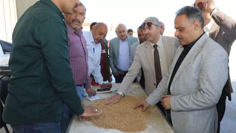 محافظ الشرقية يُتابع أعمال موسم حصاد وتوريد محصول القمح ويتفقد أعمال مشروع تسمين الماشيه بمركز أبوحماد
