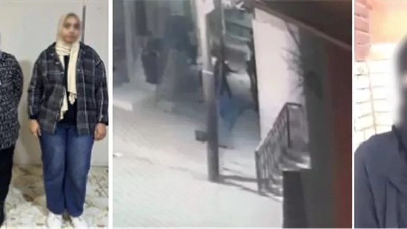 الأمن يكشف حقيقة ادعاء دفع زوج من أعلى السلم بسبب الميراث في كفرالشيخ
