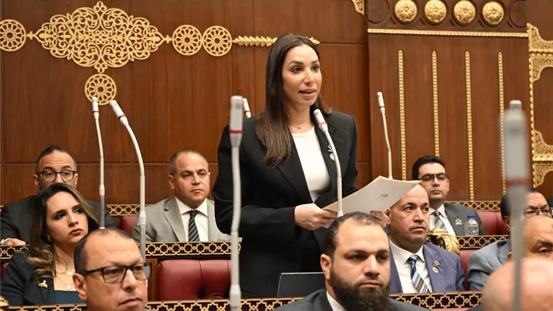 برلمانية تدعو وزارة المالية لتحمل مسؤولياتها في الحفاظ على استدامة منظومة المعاشات