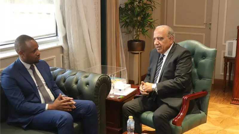 وزير الكهرباء يبحث مع نظيره الرواندي تعزيز التعاون في الطاقة المتجددة