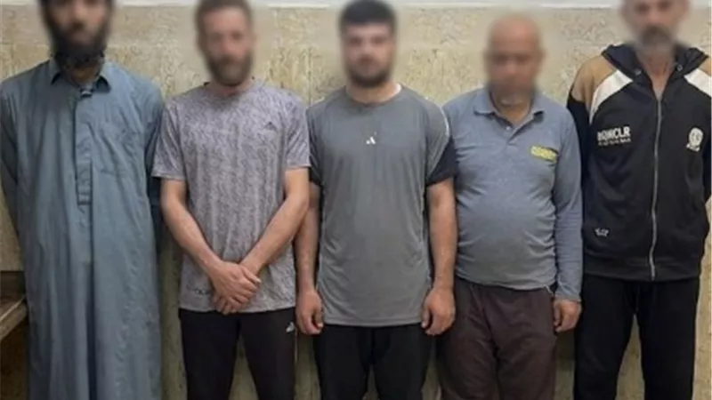 بسبب محصول وأدوات زراعية.. الأمن يضبط 5 متهمين بعد التعدي على أرض بأوسيم