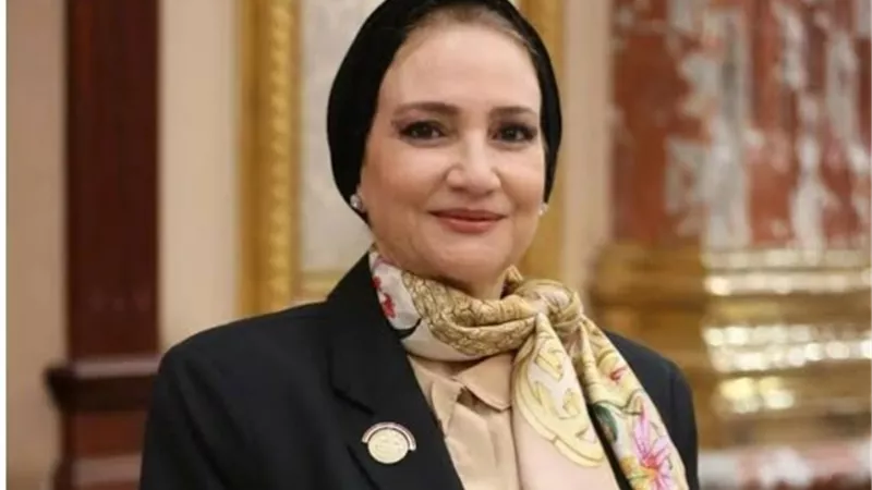 صدقي: أزمة تعطل سيستم التأمينات ستثار بالجلسة العامة الاثنين المقبل