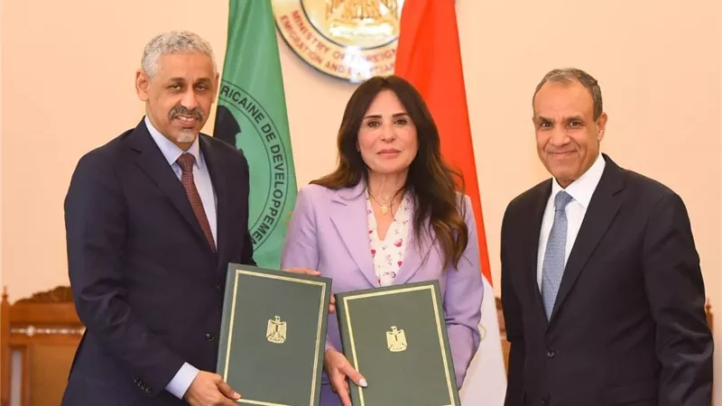 وزير الخارجية يستقبل رئيس بنك التنمية الإفريقي 