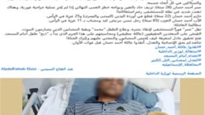 إصابة 7 أشخاص في مشاجرة بالأسلحة البيضاء بسبب خلافات الجيرة بالإسماعيلية
