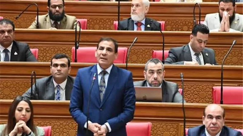 عبدالعليم داوود يرفض مشروع قانون التأمينات: “ينزع الحقوق ويهدد كرامة أصحاب المعاشات”
