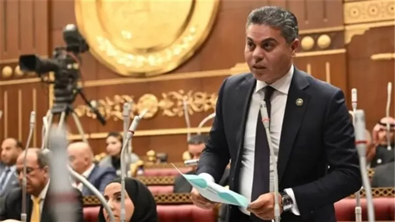 لمنع ضياع مليارات الدولارات.. تحرك برلماني عاجل حول آليات الترويج لمبادرات المصريين بالخارج