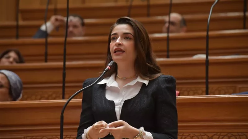إيرين سعيد ترفض قرض القطار السريع: وجهوا التمويل لوزارة التعليم 