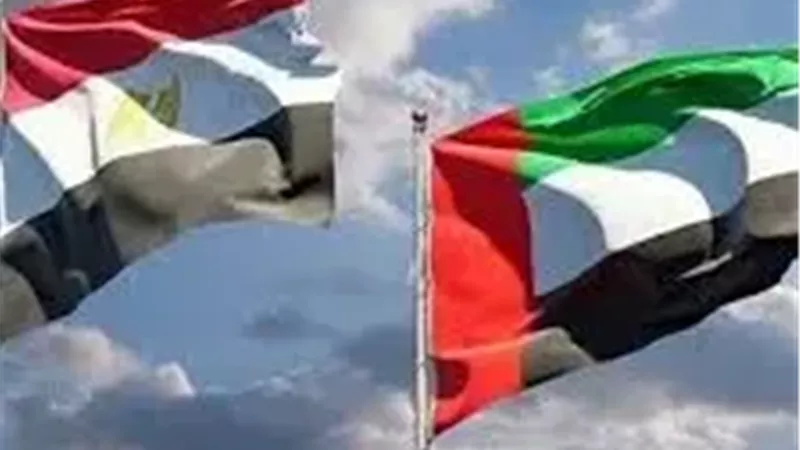 مصر تدين الهجمات الصاروخية والطائرات المسيرة الإيرانية ضد دولة الإمارات العربية المتحدة