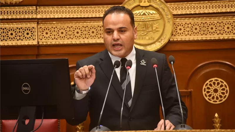 من السفر حتى العودة.. عضو بالشيوخ يطلق مبادرة لحماية حقوق المصريين بالخارج 