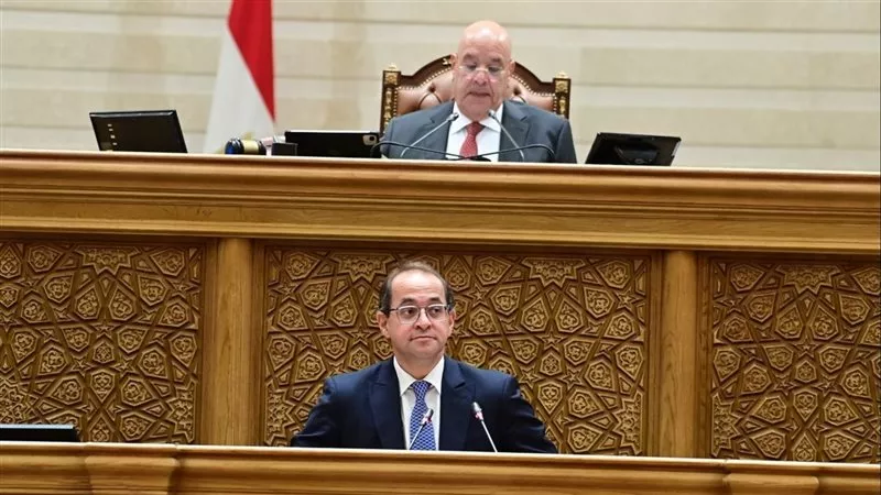 وزير المالية للنواب: تجاوزنا مستهدفات الإيرادات الضريبية دون أعباء جديدة