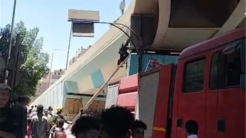 بعد بلاغ من فتاة.. الحماية المدنية تنقذ قطة معلقة أعلى كوبري نجع حمادي