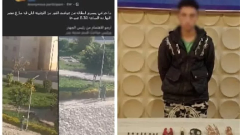 كشف ملابسات فيديو سرقة أسلاك من عمود إنارة بالقاهرة