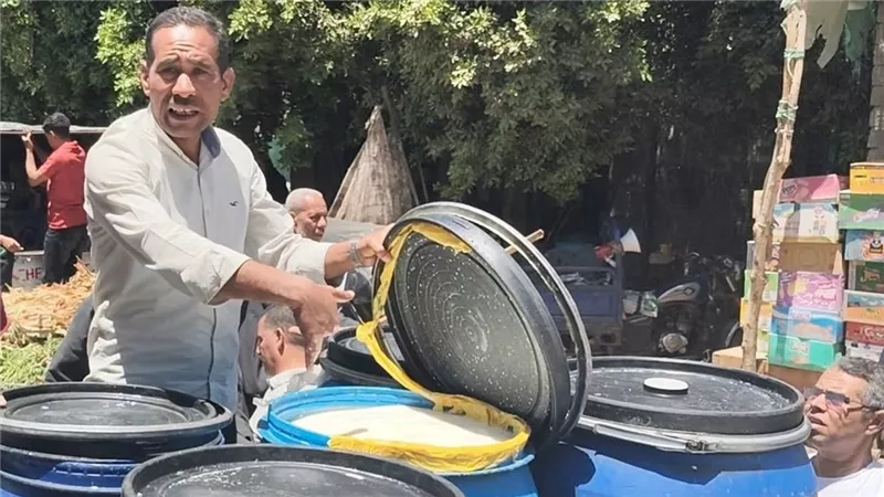 قبل بيعه للمواطنين.. ضبط نصف طن ألبان فاسدة في المنيا