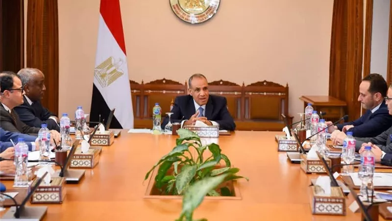 وزير الخارجية يلتقي ممثلي الشركات المصرية العاملة في أفريقيا لتعزيز النشاط الاقتصادي بالقارة