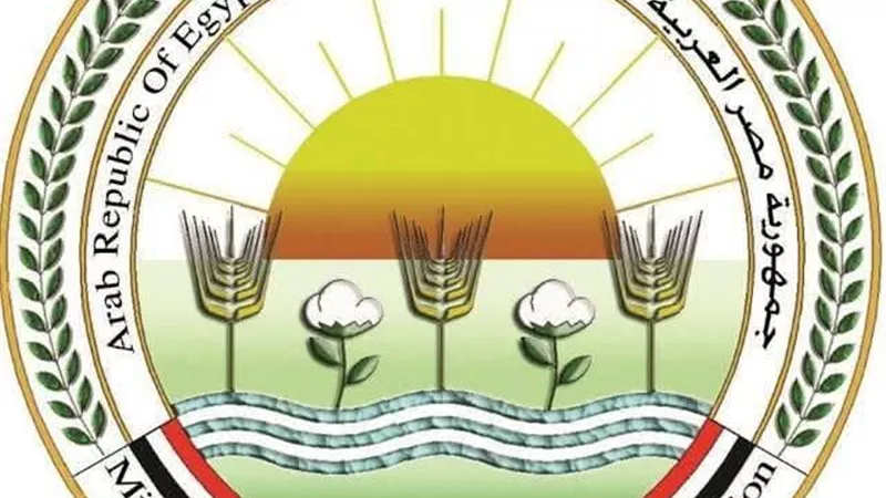 وزارة الزراعة: ذبح 10 آلاف و172 أضحية مجانًا بالمجازر الحكومية خلال أول أيام عيد الأضحى