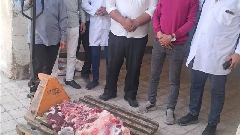 قبل بيعها للمواطنين.. ضبط 190 كيلو لحوم فاسدة في سوهاج