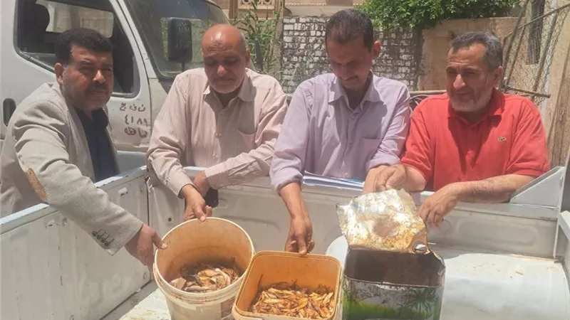 ضبط 73 ألف لتر سولار و160 مخالفة تموينية خلال حملات مكثفة بالمنيا