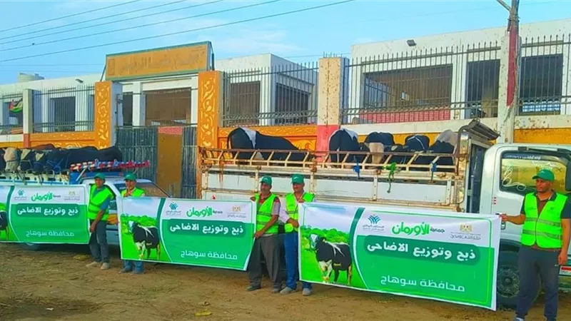 من المجازر إلى بيوت الغلابة.. «الأورمان وتضامن سوهاج» يطلقان أكبر قافلة لحوم في العيد