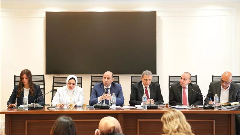 تأجيل الانتخابات العمالية 6 أشهر.. وزير العمل: البرلمان شريك أساسي في استقرار بيئة العمل