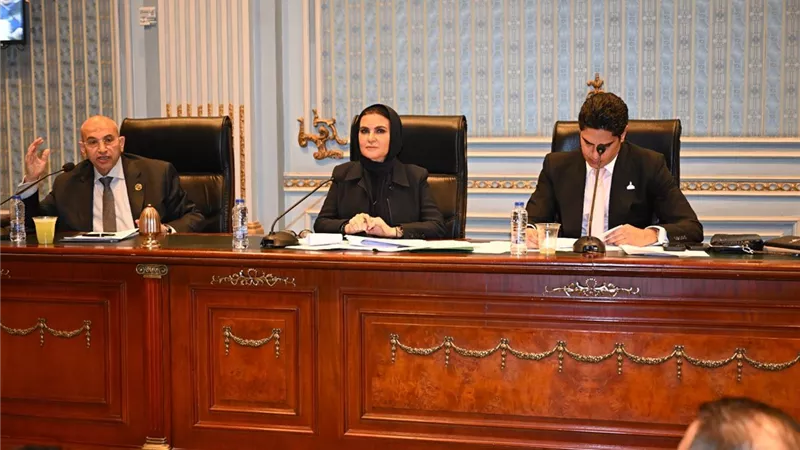 خلال اجتماع اللجنة الاقتصادية.. أشرف عبد الغني: تعديلات قانون الشركات 