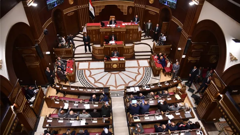 خلال جلسة الشيوخ.. برلمانية تنتقد طول فترات الانتظار في المطارات وتأخر الحقائب