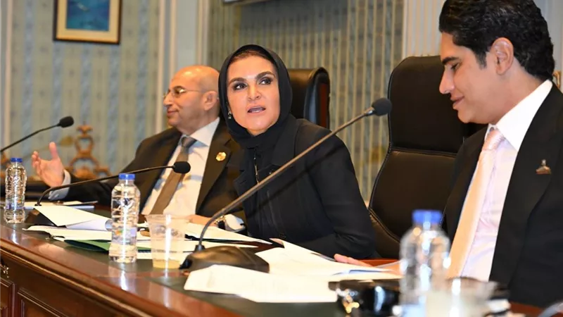 «اقتصادية الشيوخ» توافق على دراسة الأثر التشريعي لقانون الشركات المقدمة من سحر نصر