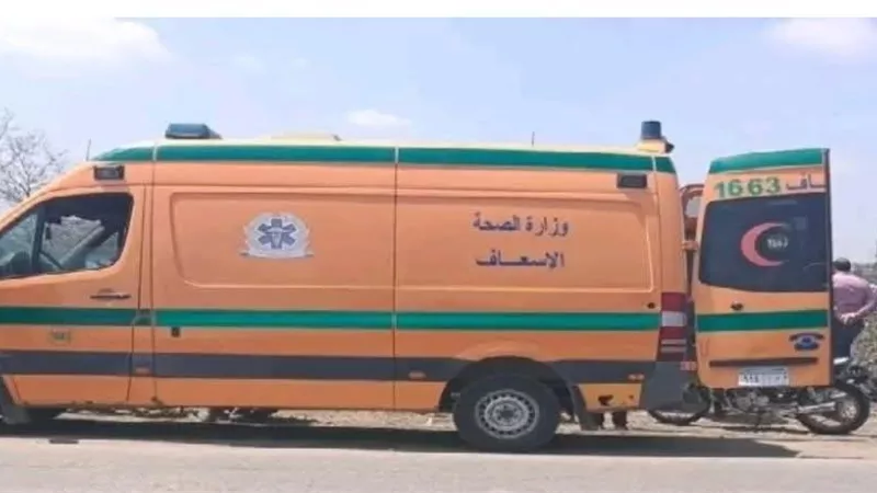 خلص عليها قصاد أولادهم... عاطل ينهي حياة زوجته طعنًا في الشرقية