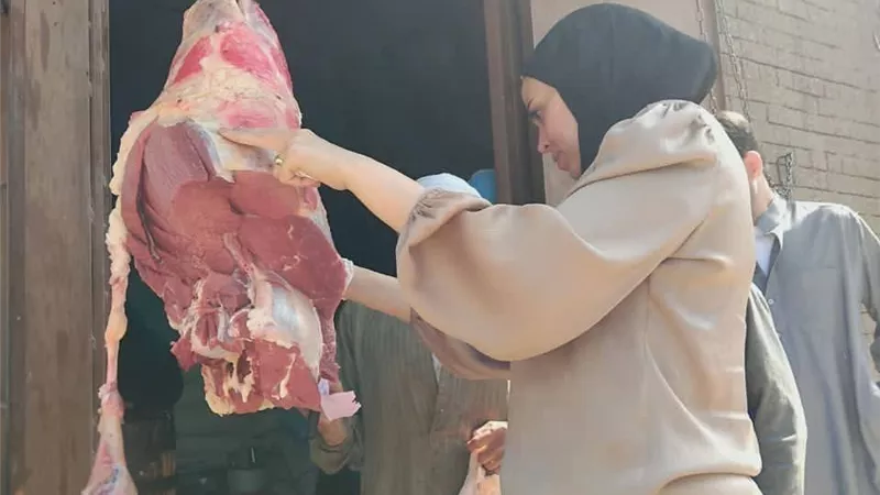 ضبط 412 كيلو لحوم ومنتجات غذائية غير صالحة وتحرير 40 مخالفة بالمنيا