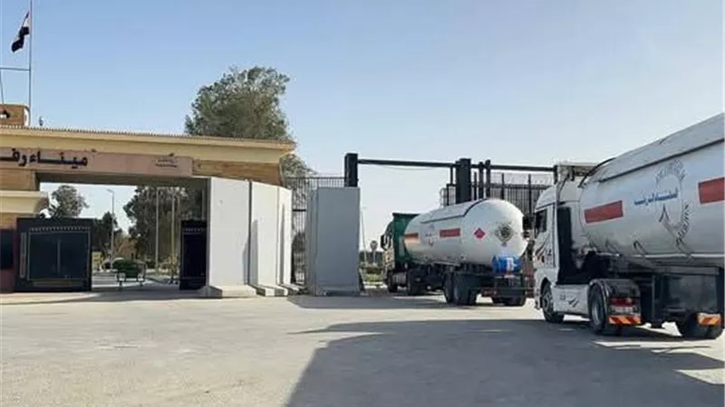 ضمن قافلة «زاد العزة».. الهلال الأحمر المصري يرسل 3478 طن مساعدات إلى غزة