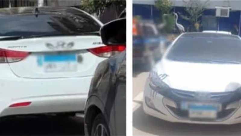 بعد انتشار صوره على السوشيال ميديا.. ضبط قائد سيارة طمس لوحاتها بالشرقية
