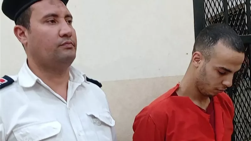 خطفها من الشارع واعتدى عليها.. إحالة أوراق المتهم بهتك عرض طفلة الشرقية للمفتي