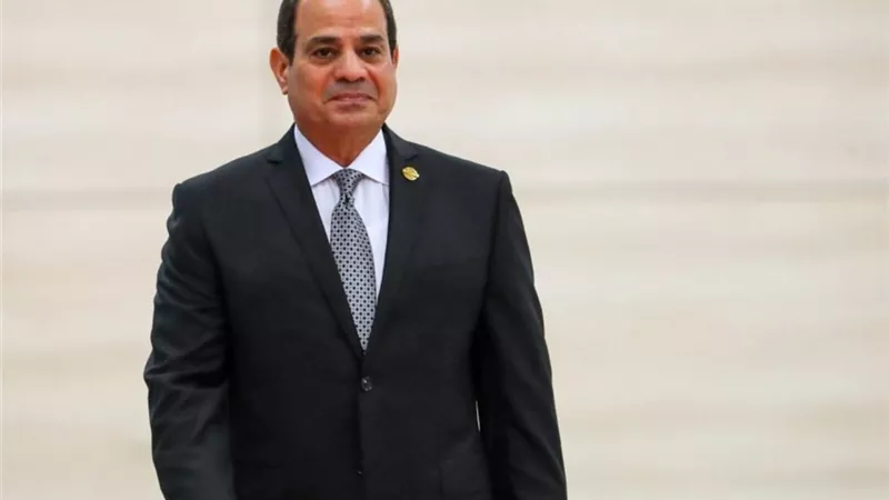السيسي عن 30 يونيو: جسدت إرادة المصريين للحفاظ على هوية الدولة المصرية