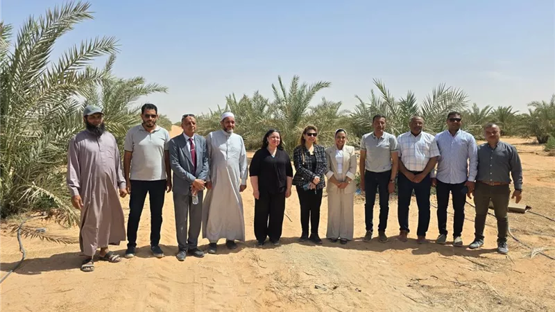 نائبة وزيرة التضامن تتفقد أكبر مشروعات النخيل بالوادي الجديد لدعم «تكافل وكرامة»