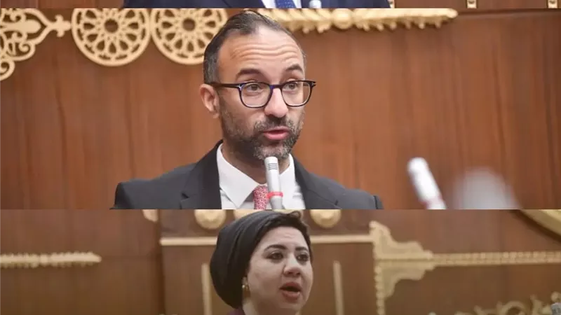 حضور بارز لنواب «تنسيقية شباب الأحزاب» في مجلس الشيوخ لمناقشة قضايا التعليم