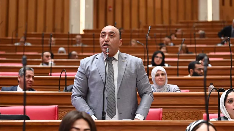 حسام حسن يطالب بتشديد الرقابة على التمويل الاستهلاكي لحماية الصعيدات من أعباء الديون